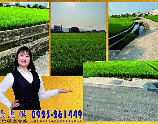 立人路【碧峰國小】臨路農地水田